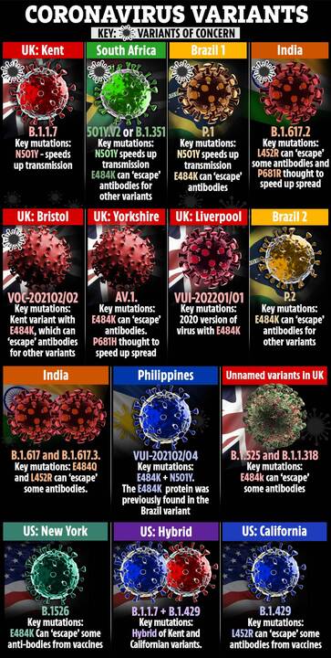 Variants named geographically and the mutations they carry