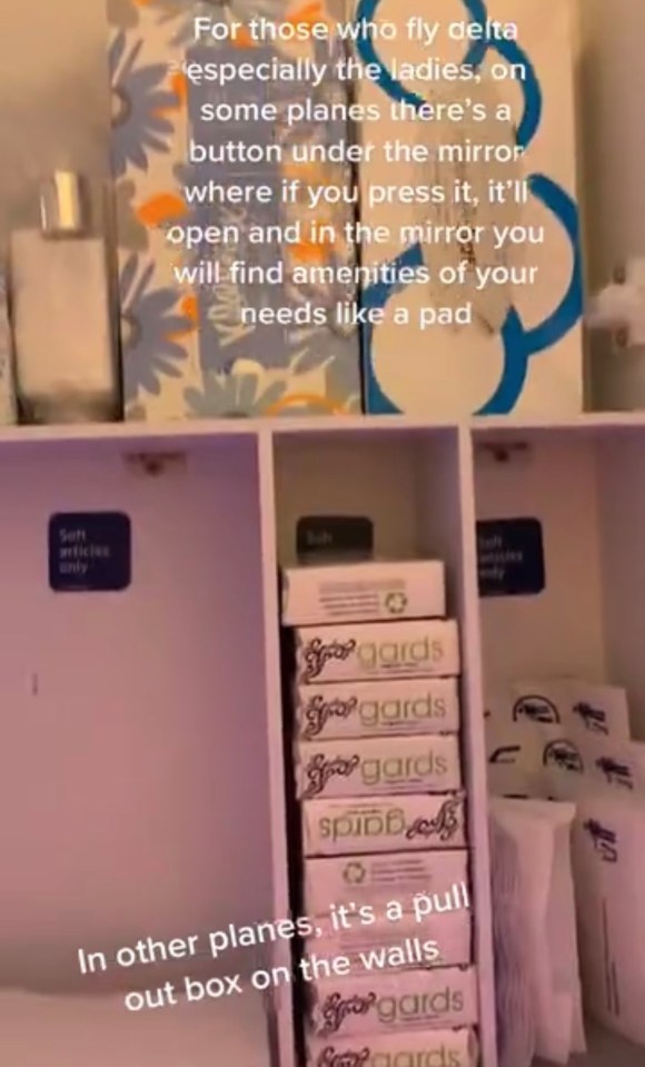 Passengers can find a secret cupboard on flights with all kinds of free products