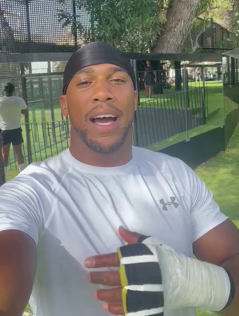 Anthony Joshua recorded a video saying the lads will go all the way