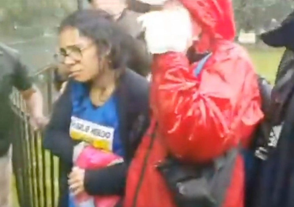 The victim was part of a large group standing at Speakers' Corner