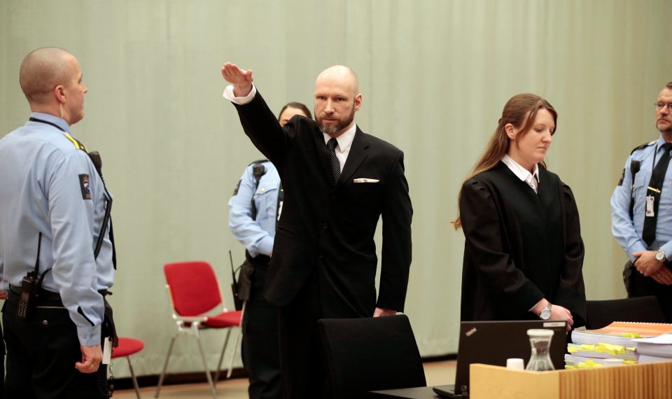 The teenage Neo-Nazi who idolised Norwegian mass killer Anders Breivik