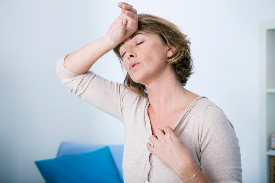 The menopause can cause a range of symptoms that make life difficult