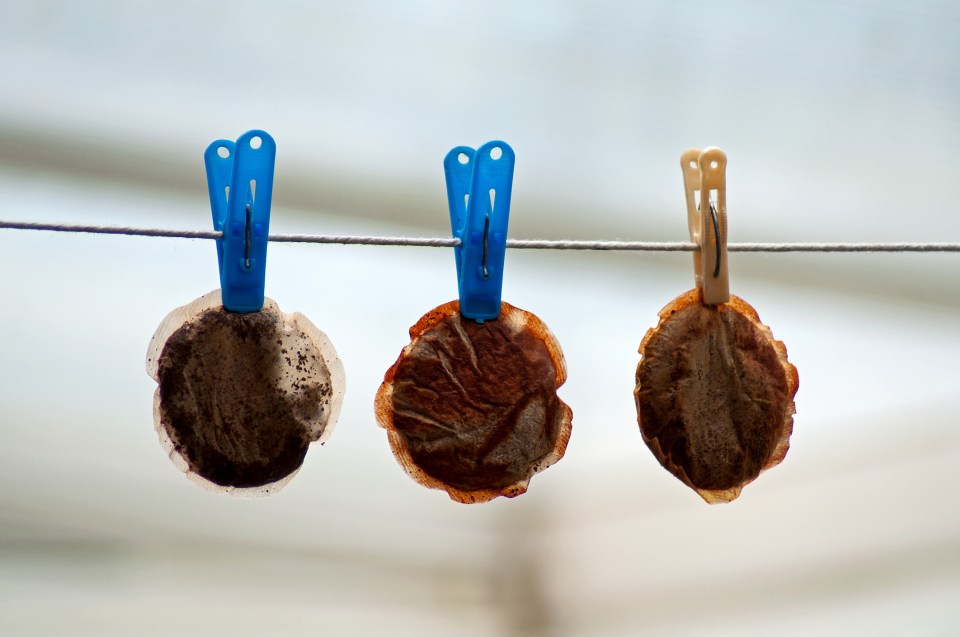 Reusing teabags could be the answer to becoming more eco-friendly