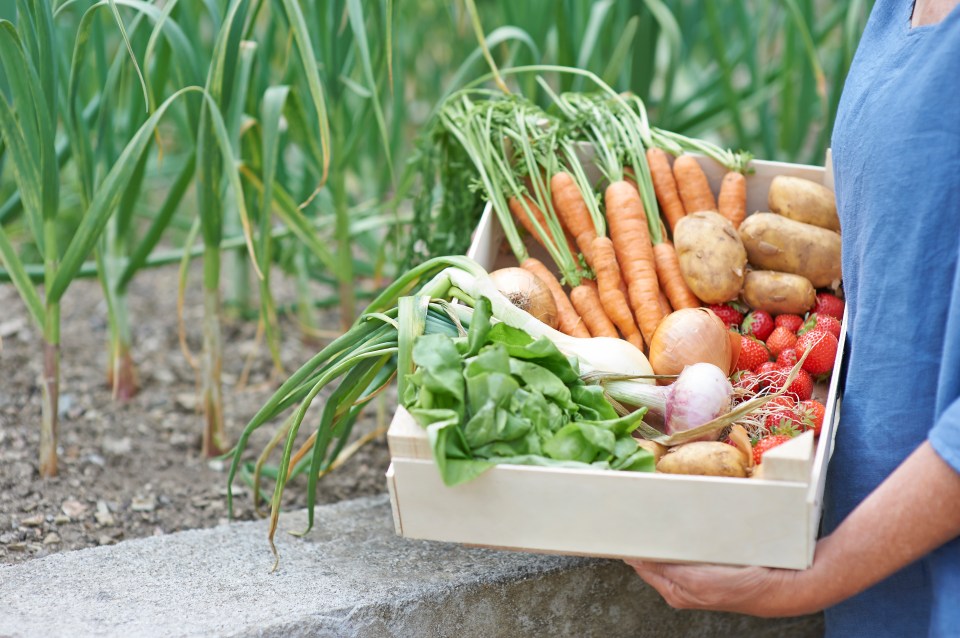 Many supermarkets now offer a wonky fruit and vegetable box at a discount