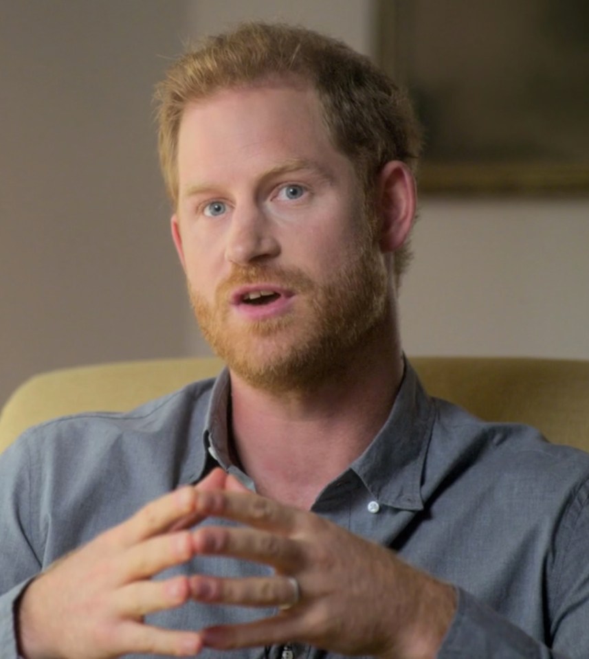 The Duke of Sussex has been collaborating with a ghost writer