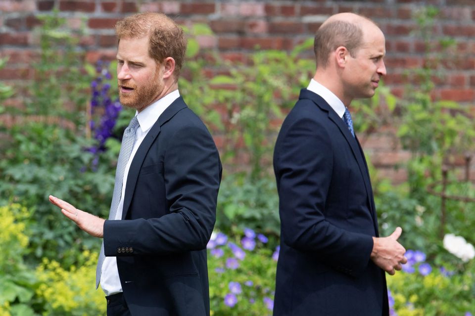 Princes Harry and William seemed to set aside differences at the unveiling of a statue in July to remember their mother, Princess Diana