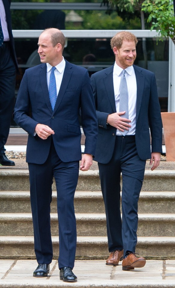 Harry met brother William at their mother Diana’s statue unveiling this month