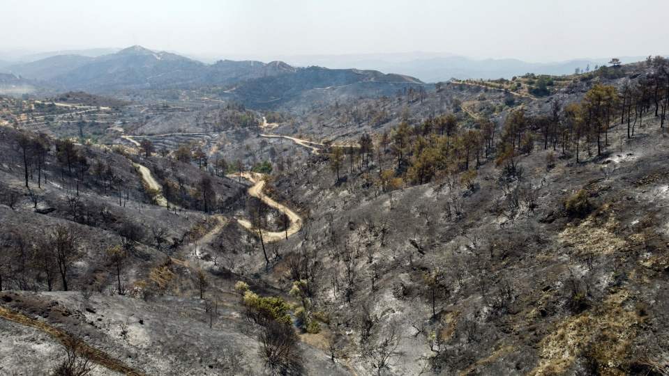 Entire landscapes were reduced to ash by the fire