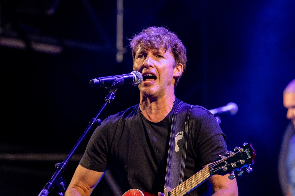 James Blunt struggled though his comeback gig after Covid left his voice 'f***ed'