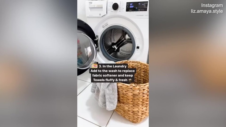 Liz Amaya revealed she uses the household staple to keep towels fluffy