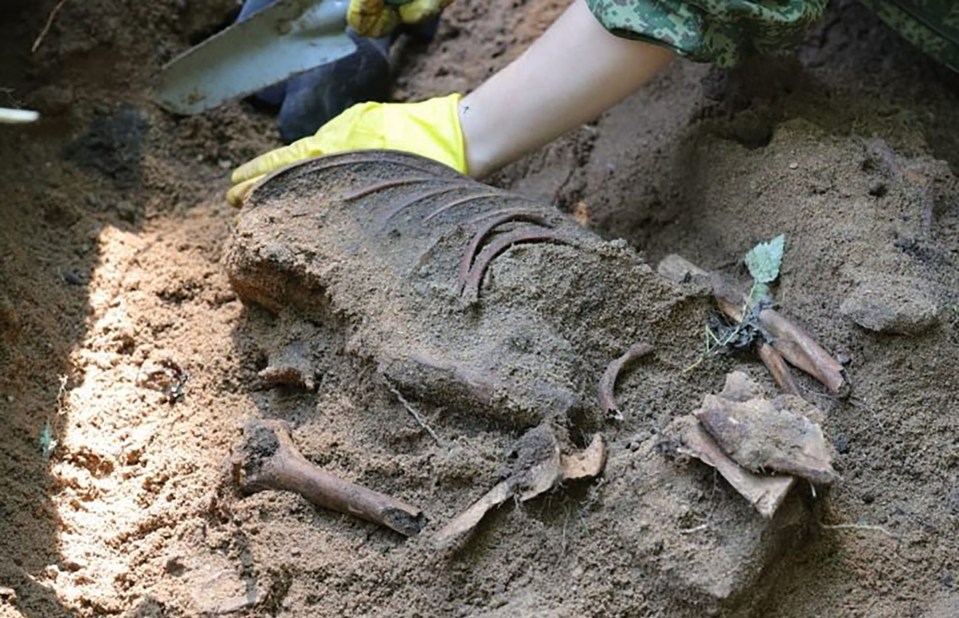 The gruesome finds have led to a formal criminal case for genocide being opened