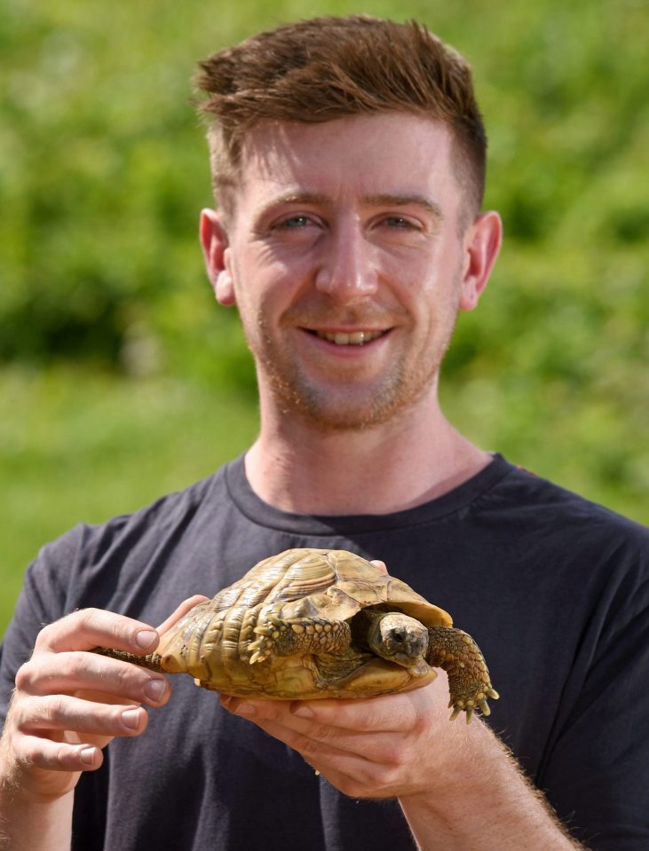 After scaling a 12in fence and spending a year on the missing list, Maxi the tortoise has been found by dog walkers in a field less than a mile from his Wiltshire home