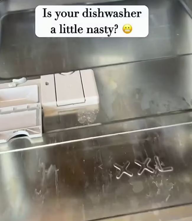 Mum-of-two Carolina has found the magic ingredient to keep dishwashers clean