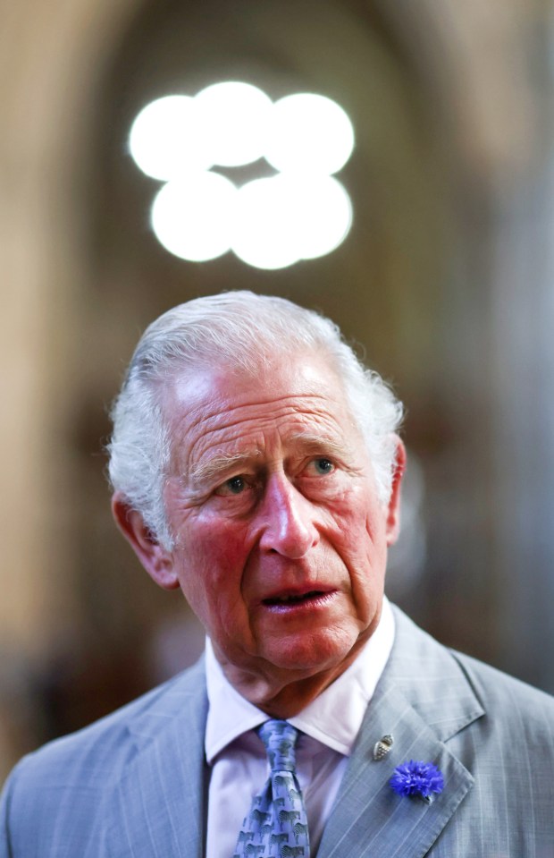 Prince Charles is becoming 'concerned over Harry’s chosen path' say sources