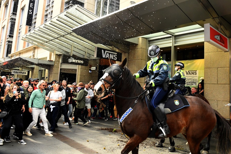 Protesters throw plastic bottles and pot plants at mounted police at Sydney Town Hall