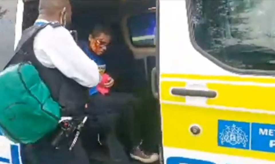 The woman sat in a police van before being taken to hospital