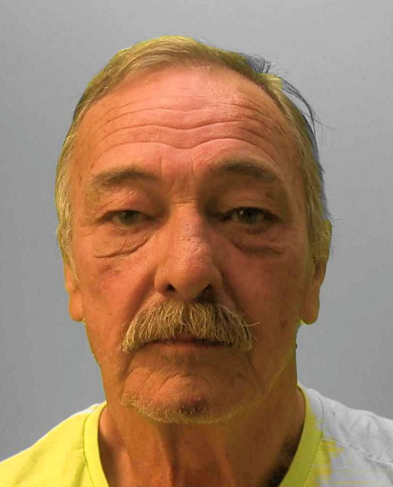 Derek Holland was sentenced to three-and-a-half years in jail at Hove crown Court