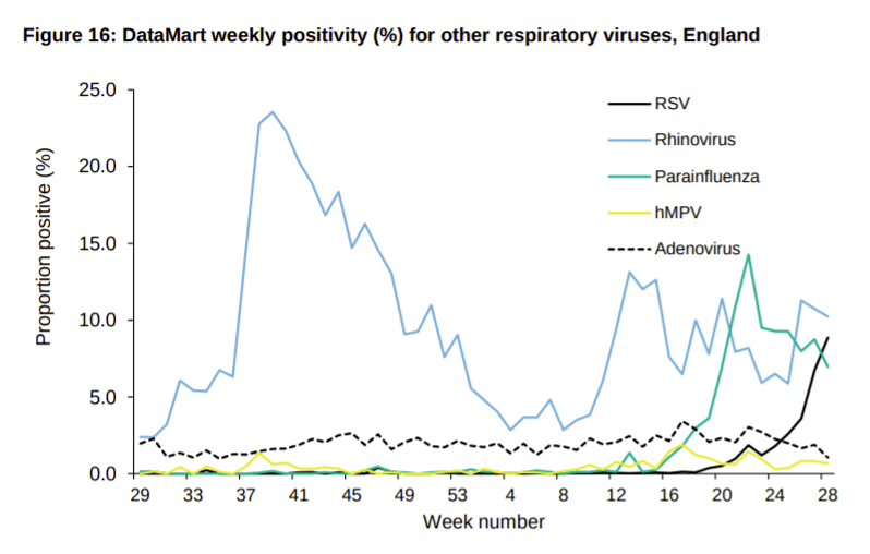 How cases of RV have increased over the past year. The graph shows the number of tests that come back positive, showing an increase in RSV since mid-May