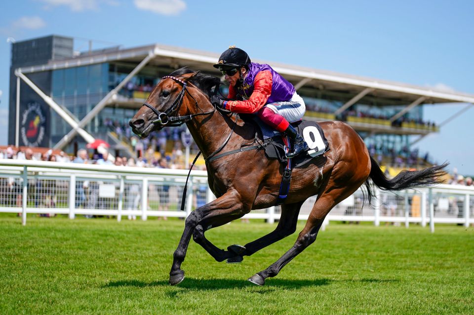 Racing returns to Newbury this week