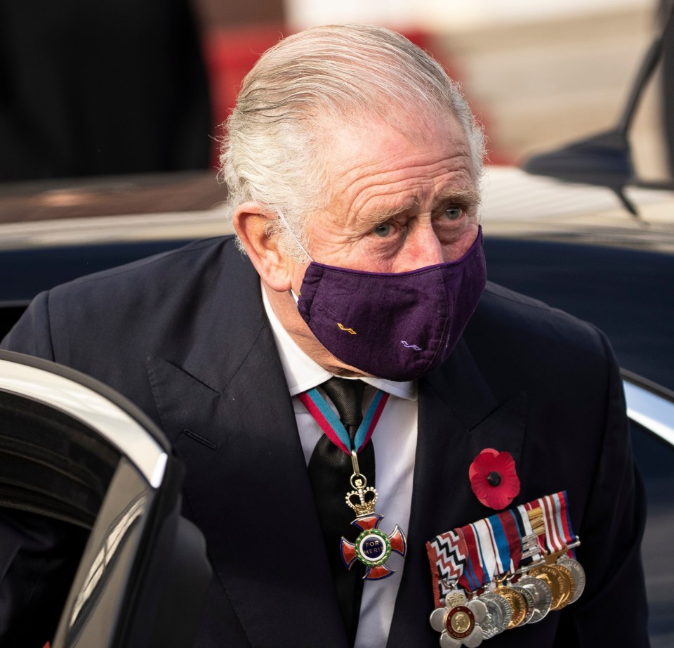 The Prince of Wales during a visit to Germany in November, 2020