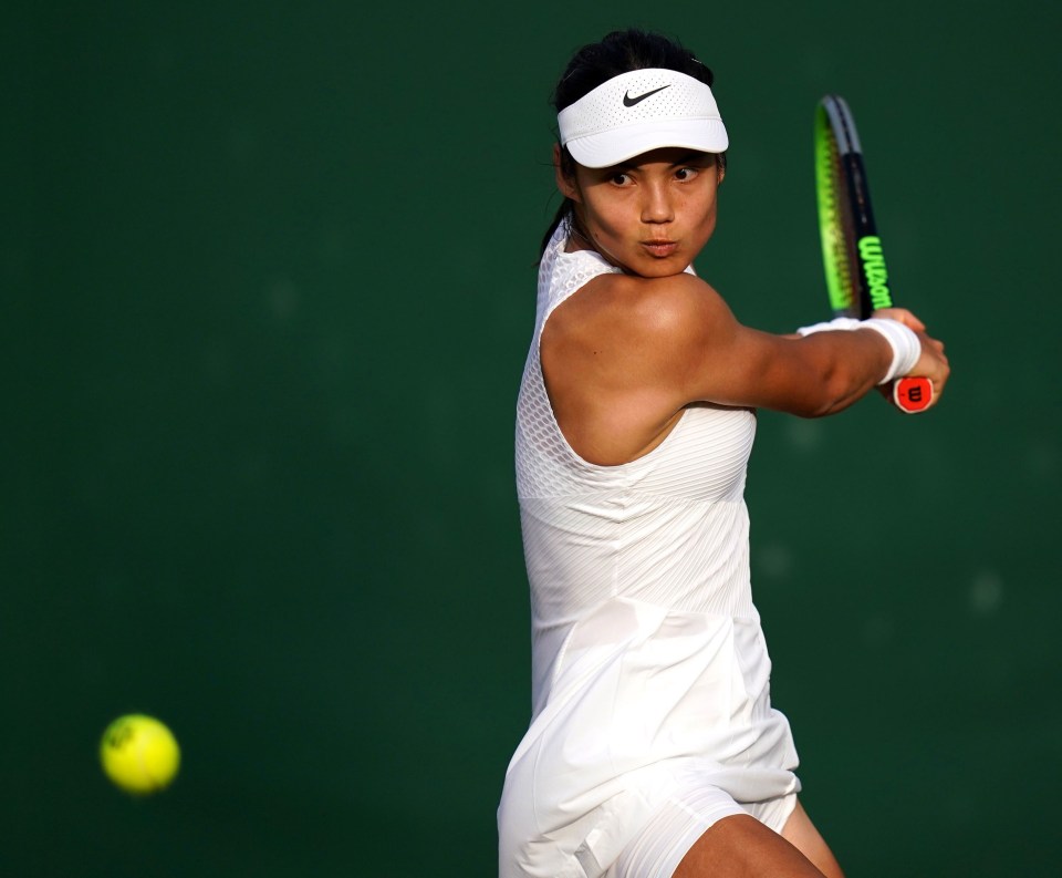 Raducanu is seen as one of the rising stars of British tennis