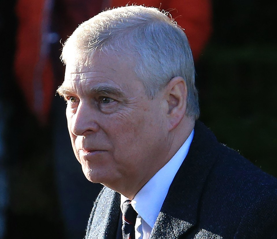 Ms Giuffre has launched a lawsuit against Prince Andrew