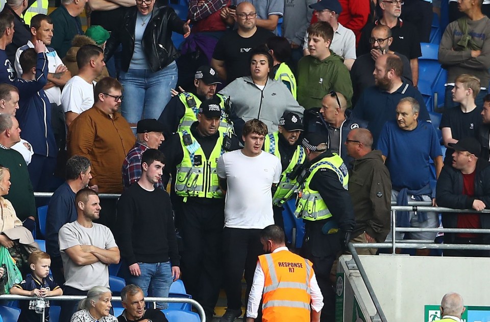 Police intervened after stewards were seen clashing with fans