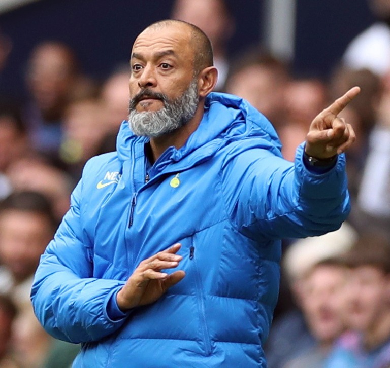 Nuno Espirito Santo is yet to be convinced by the club's record signing