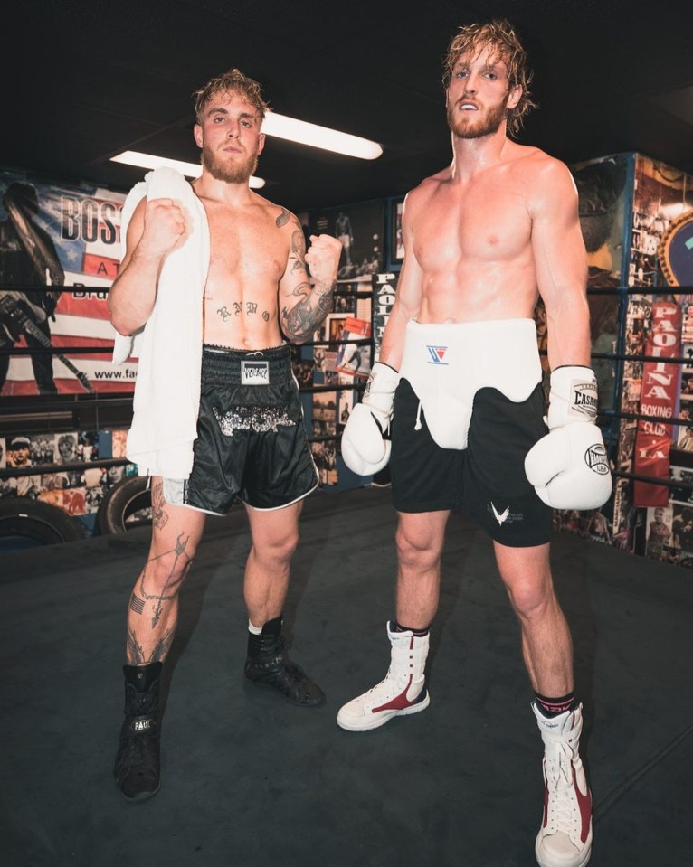 Jake Paul pictured with older brother Logan