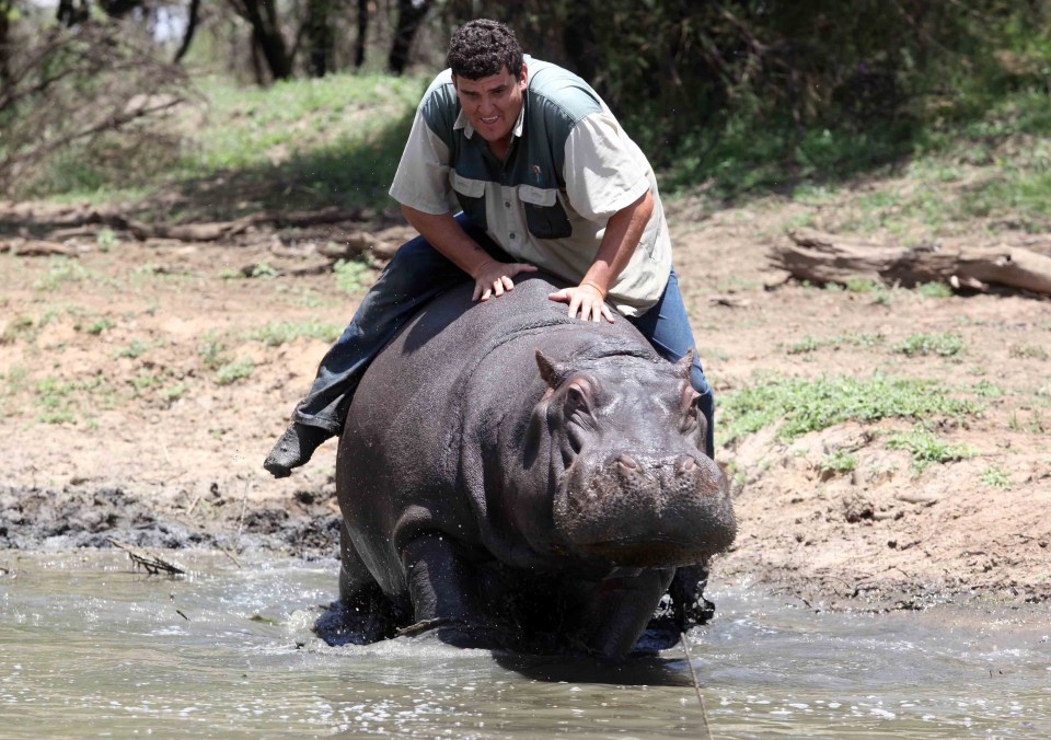 Marius Els with his ‘pet’ hippo