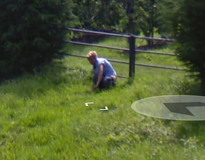 The images were posted with the caption “I found someone pooping in the grass…”