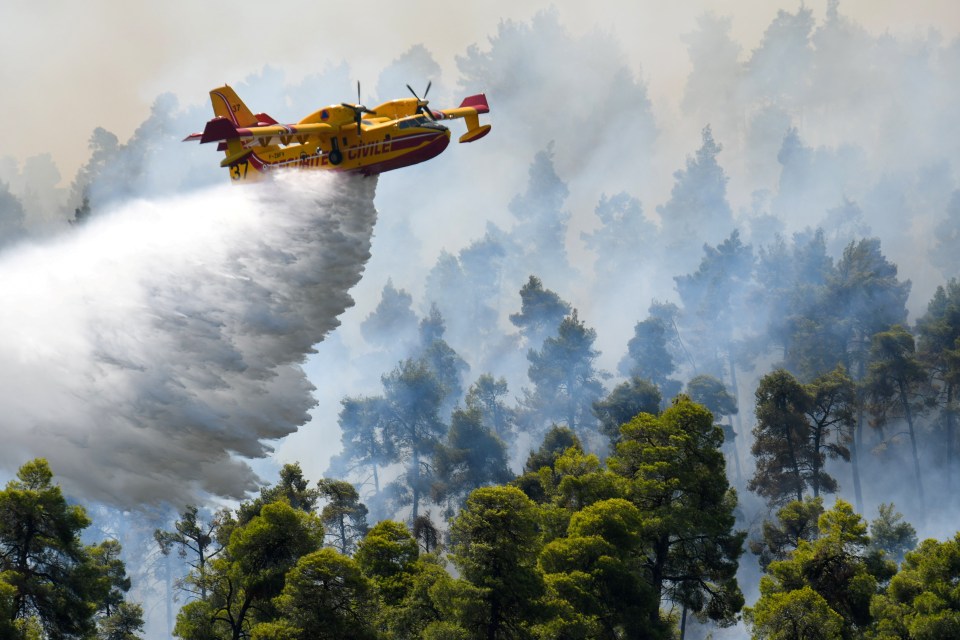 Planes have been brought in to fight the fires