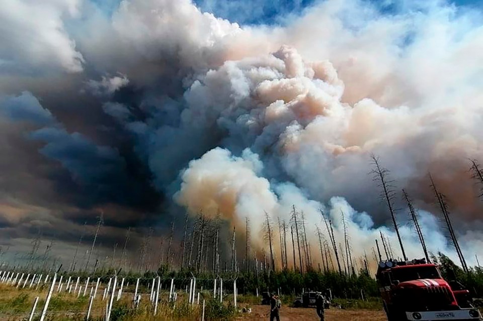 Smoke billows from the nature reserve in western Russia