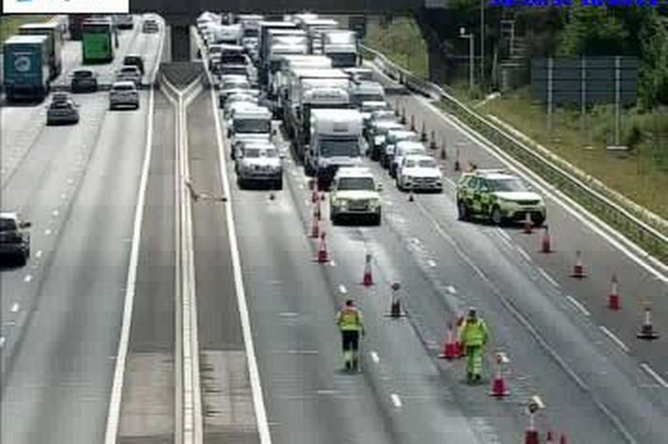 Police cordoned off two lanes of traffic after the accident last night