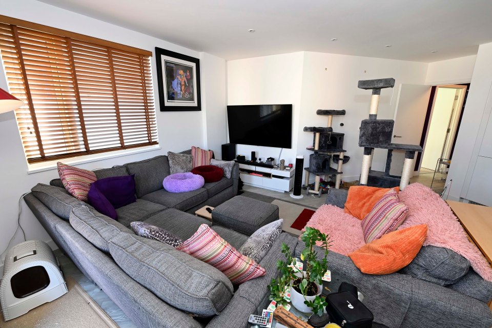 He only had to put £8,000 down for his swanky two bed flat