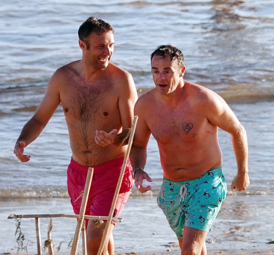 Ant appeared happy and relaxed by the ocean with close pal Jonathan Wilkes