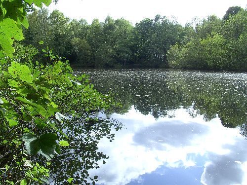 The Sand Hutton gravel pit