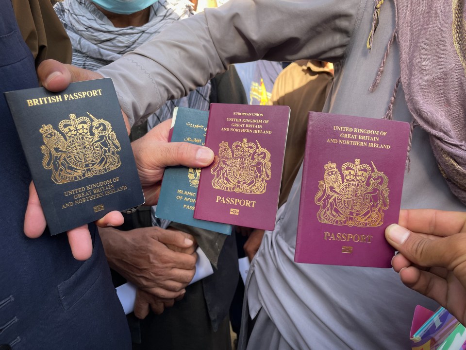 Stranded British nationals wave their passports at the airport perimeter in Kabul