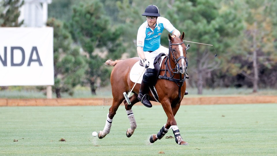 Prince Harry took a private jet home after playing in a polo tournament