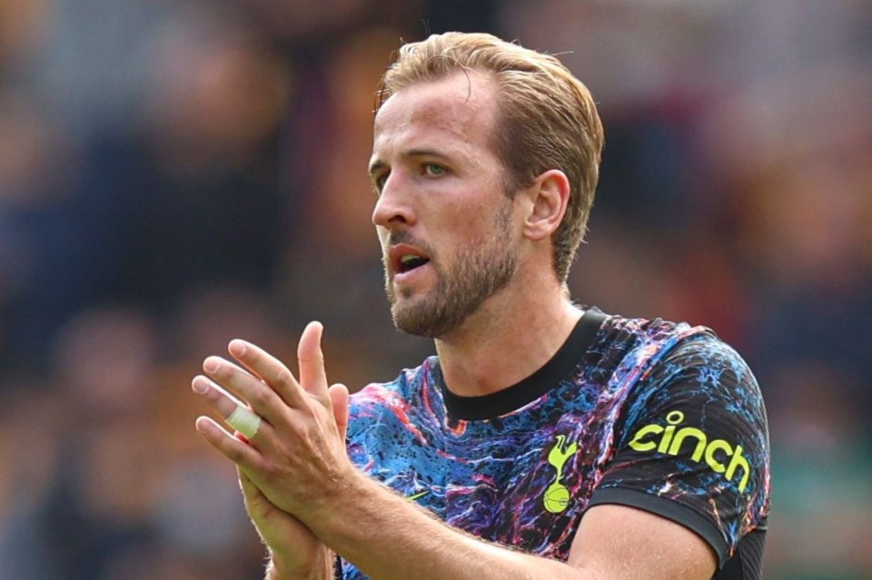 Harry Kane has committed his future to Tottenham