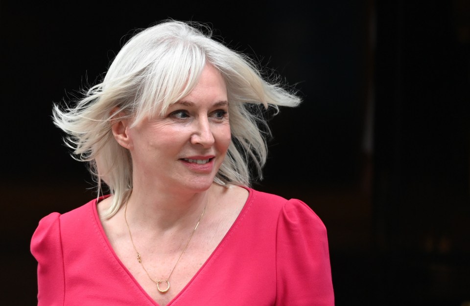 Newly-appointed culture secretary Nadine Dorries is set to wage war on woke culture projects