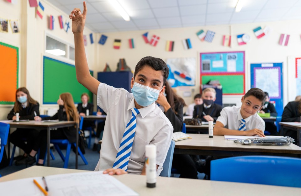 The new children’s Tsar called on ministers to roll out NHS mental health teams into schools as soon as possible and offer more support for children on free school meals