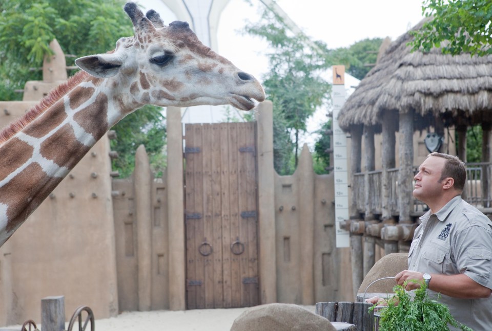 Comedy actor Kevin James and Tweet the giraffe in Zookeeper