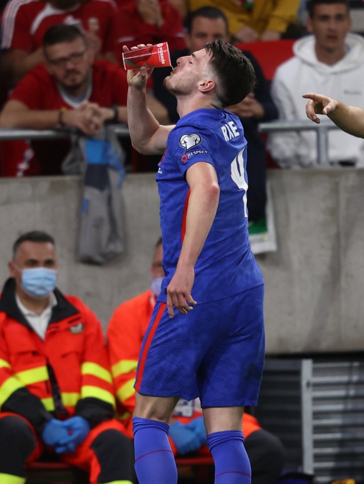 England midfielder Declan Rice, 22, pretended to drink from one of the cups hurled at the players as he celebrated a goal