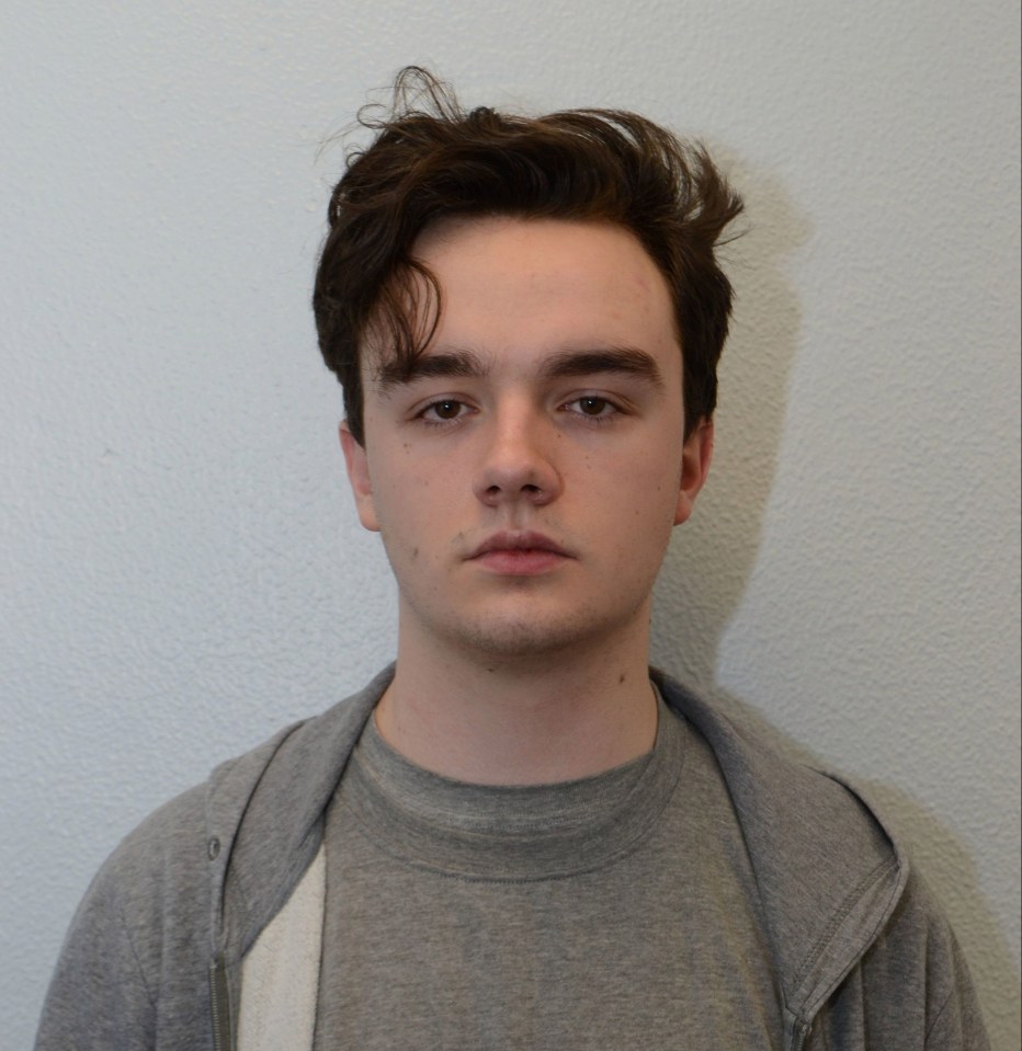 The 14-year-old's extremist right-wing group included Matthew Cronjager, 18, above, who was found guilty at the Old Bailey last week of plotting a terror attack