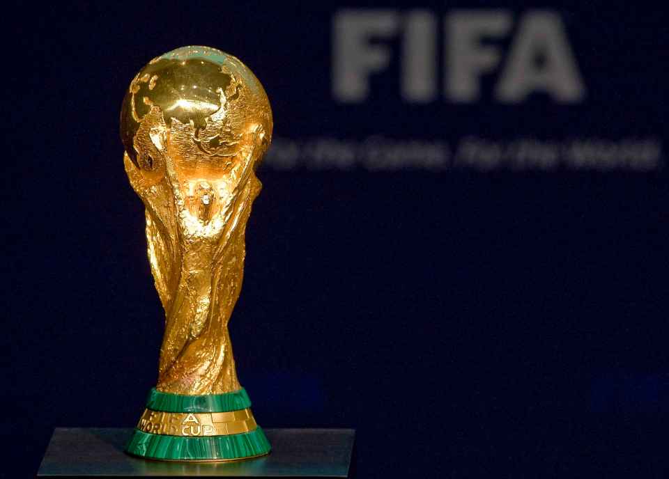 He and Fifa are looking to stage the revamped World Cup tournament every two years