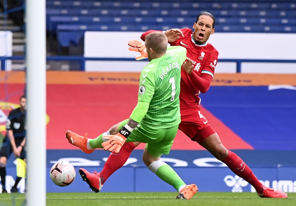 Virgil van Dijk suffered a horrific knee injury against Everton last October