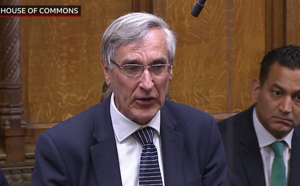 Senior Tory MP John Redwood branded the PM's plan 'stupid '