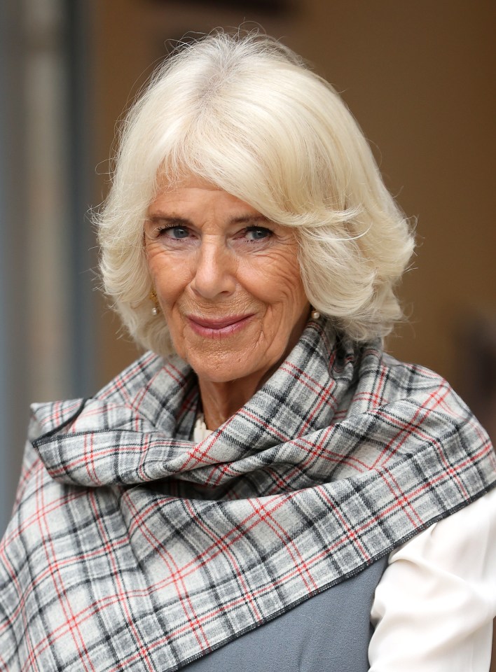 His step-mother Camilla Parker-Bowles could be one of his prime targets, according to a pal of Harry