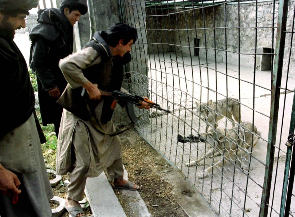 Taliban fighters in 1996 brandish their guns at Kabul Zoo